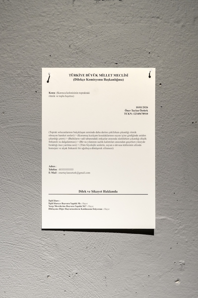 Petition - View 2