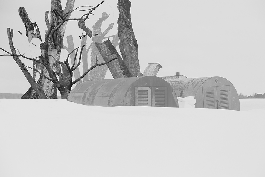 Restless Habitat - View 3